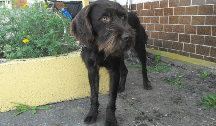 Zobraziť fotografiu