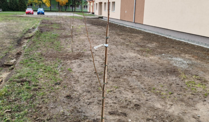 Zobraziť fotografiu