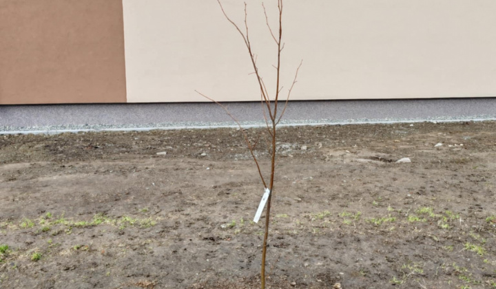 Zobraziť fotografiu