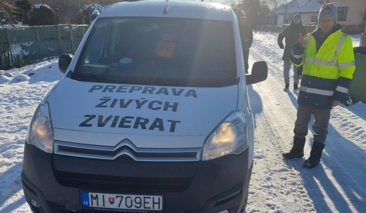 Zobraziť fotografiu