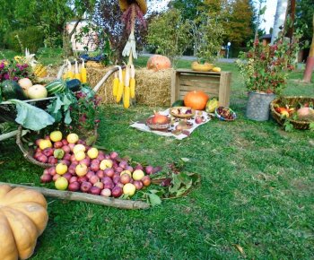 Výstavka jesenných plodov